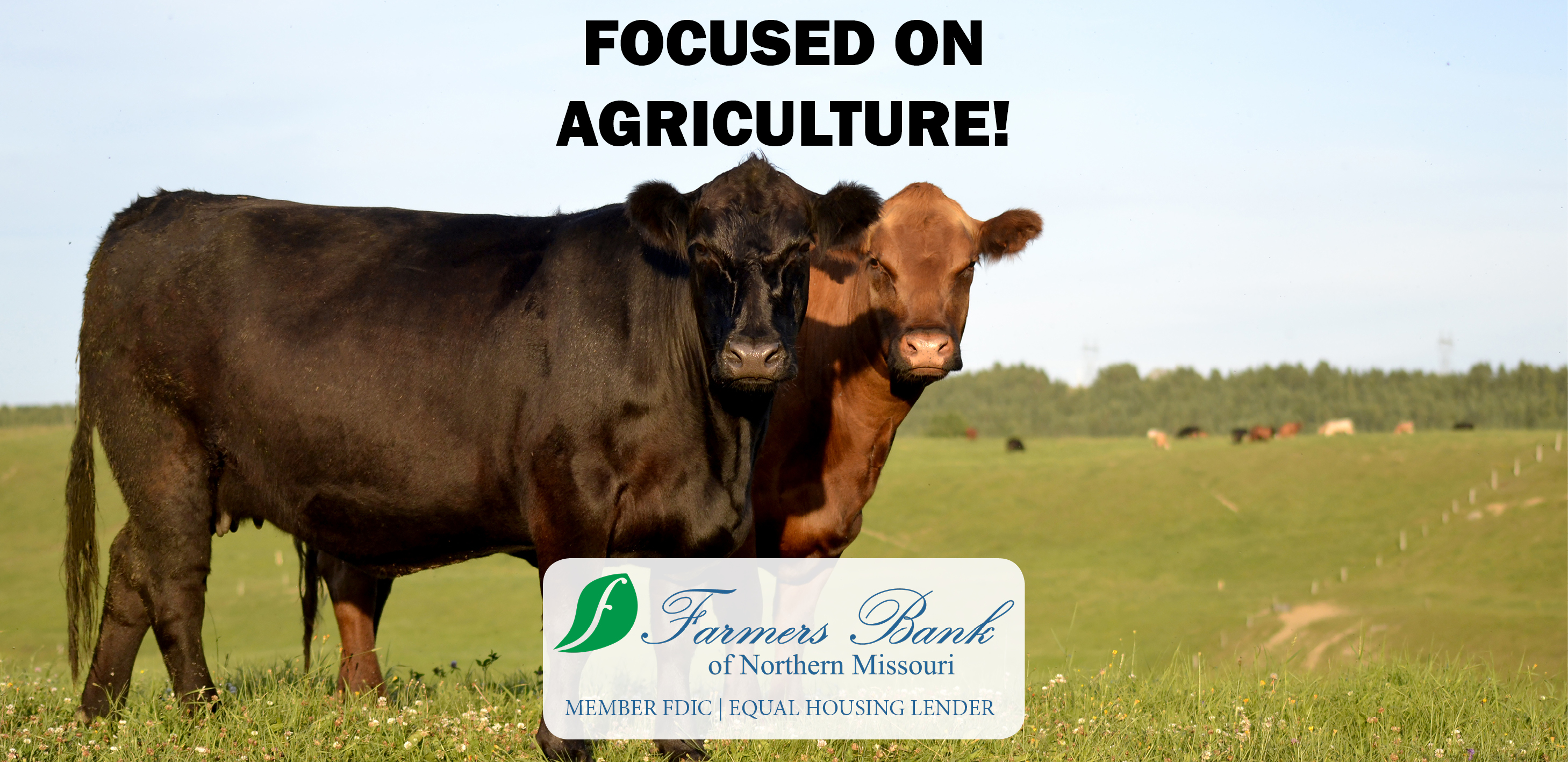 Farmers Bank of Northern Missouri